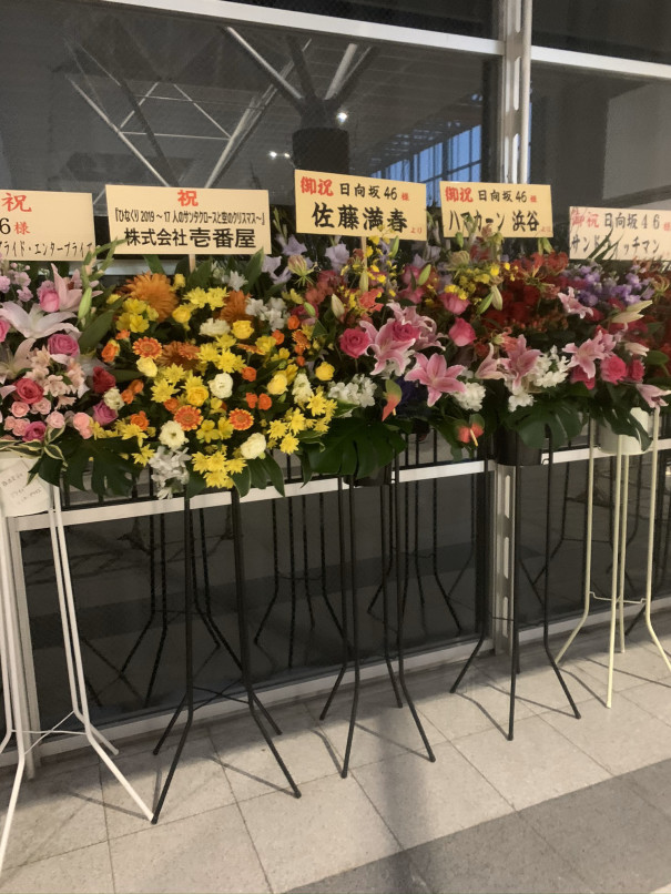 祝花 ひなくり19 Sunny Slope Four By Six Document