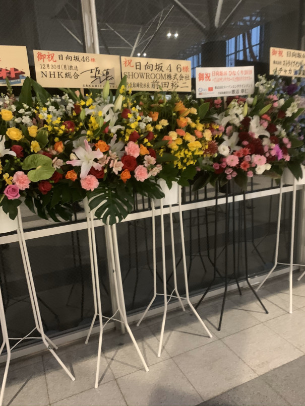 祝花 ひなくり19 Sunny Slope Four By Six Document