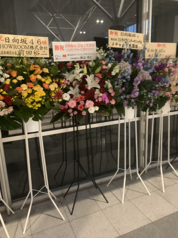 祝花 ひなくり19 Sunny Slope Four By Six Document