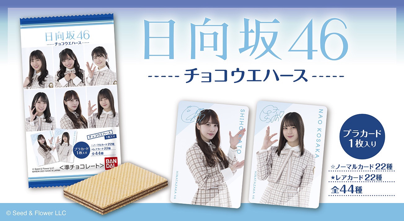 日向坂46 くじ生写真グッズローソンウエハース小坂菜緒