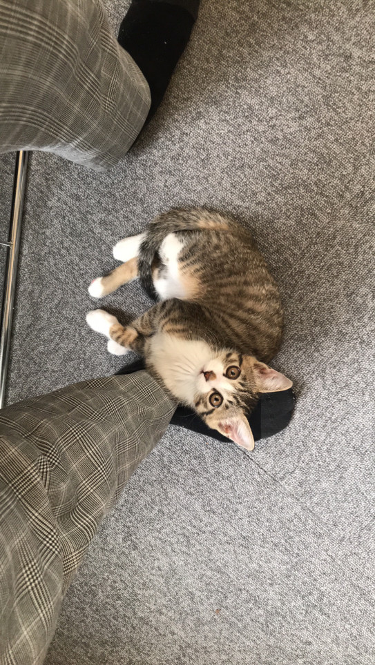 どこにも行かないで 株式会社サガエ設備 どこにも行かないで 株式会社サガエ設備
