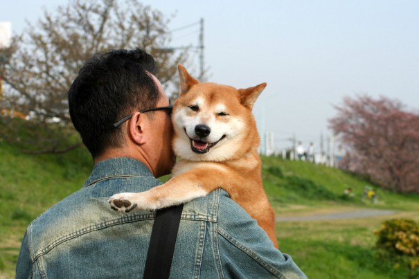 人には見えないものが 犬には見えているっぽい という話 L W D News