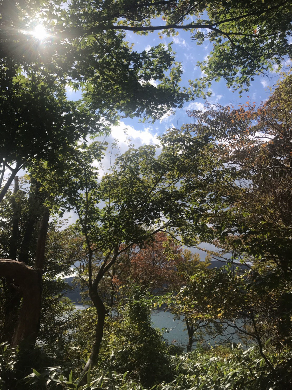 誰もが焦りやすいからこそ いちど深呼吸 月野アカリの開運研究 誰もが焦りやすいからこそ いちど深呼吸 月野アカリの開運研究