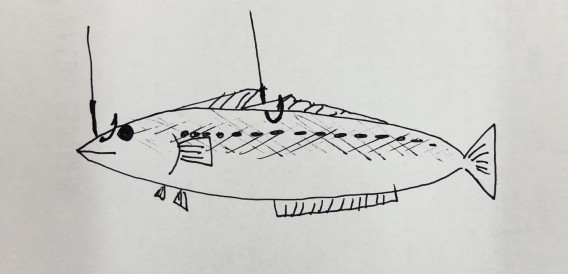 タチウオ釣りの仕掛け 釣りガールが解説 おいしい魚は自分で釣ろう Rachel Fishing タチウオ釣りの仕掛け 釣りガールが解説 おいしい魚は自分で釣ろう Rachel Fishing