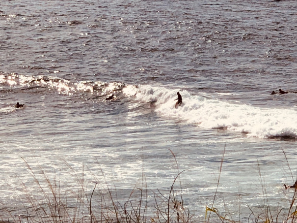 ハワイの気候 １１月に入ってハワイも少し寒くなってきました ハワイ大好きマガジン