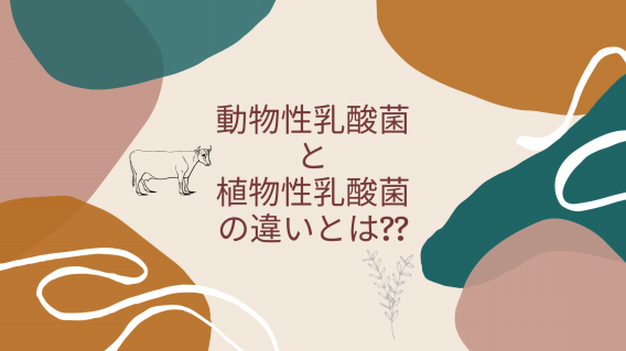 動物性乳酸菌と植物性乳酸菌の違いとは ヨーグルトとぬか漬けの違い Hacco教室