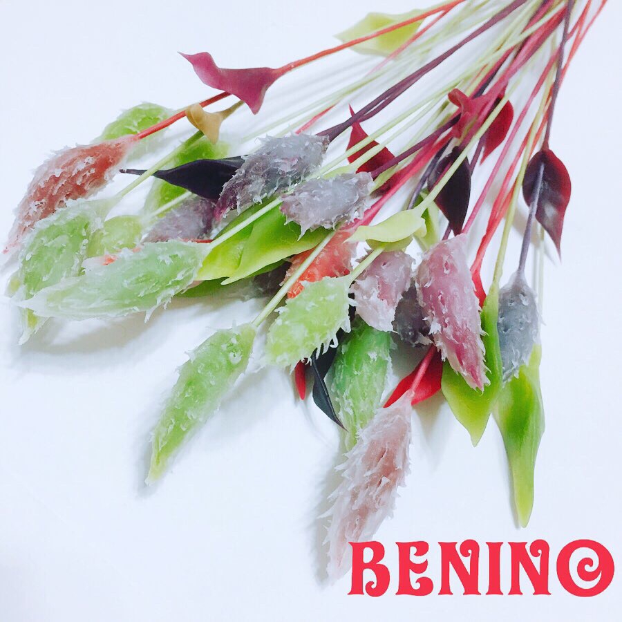 エノコロ草のリース | BENINO