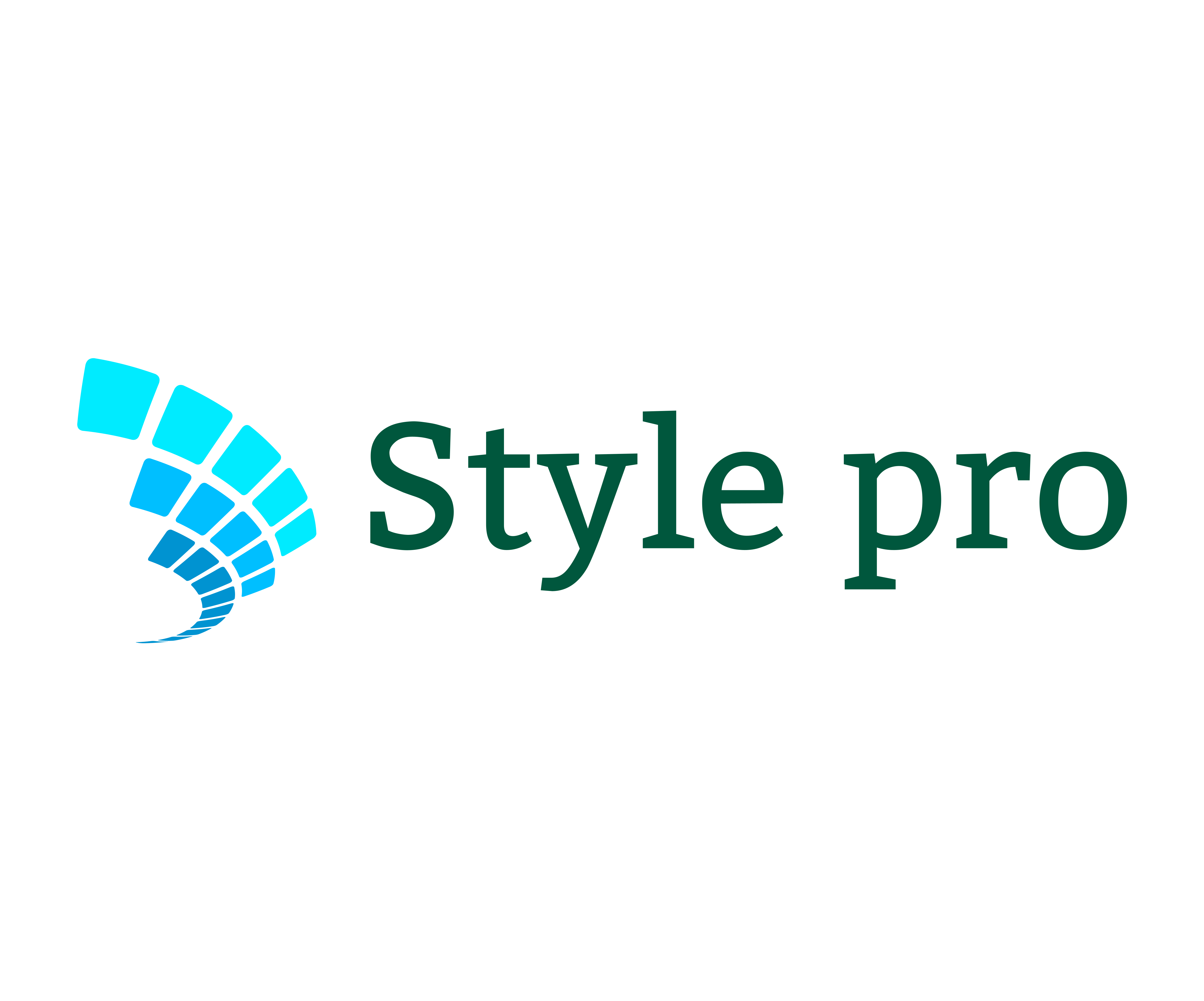 style pro