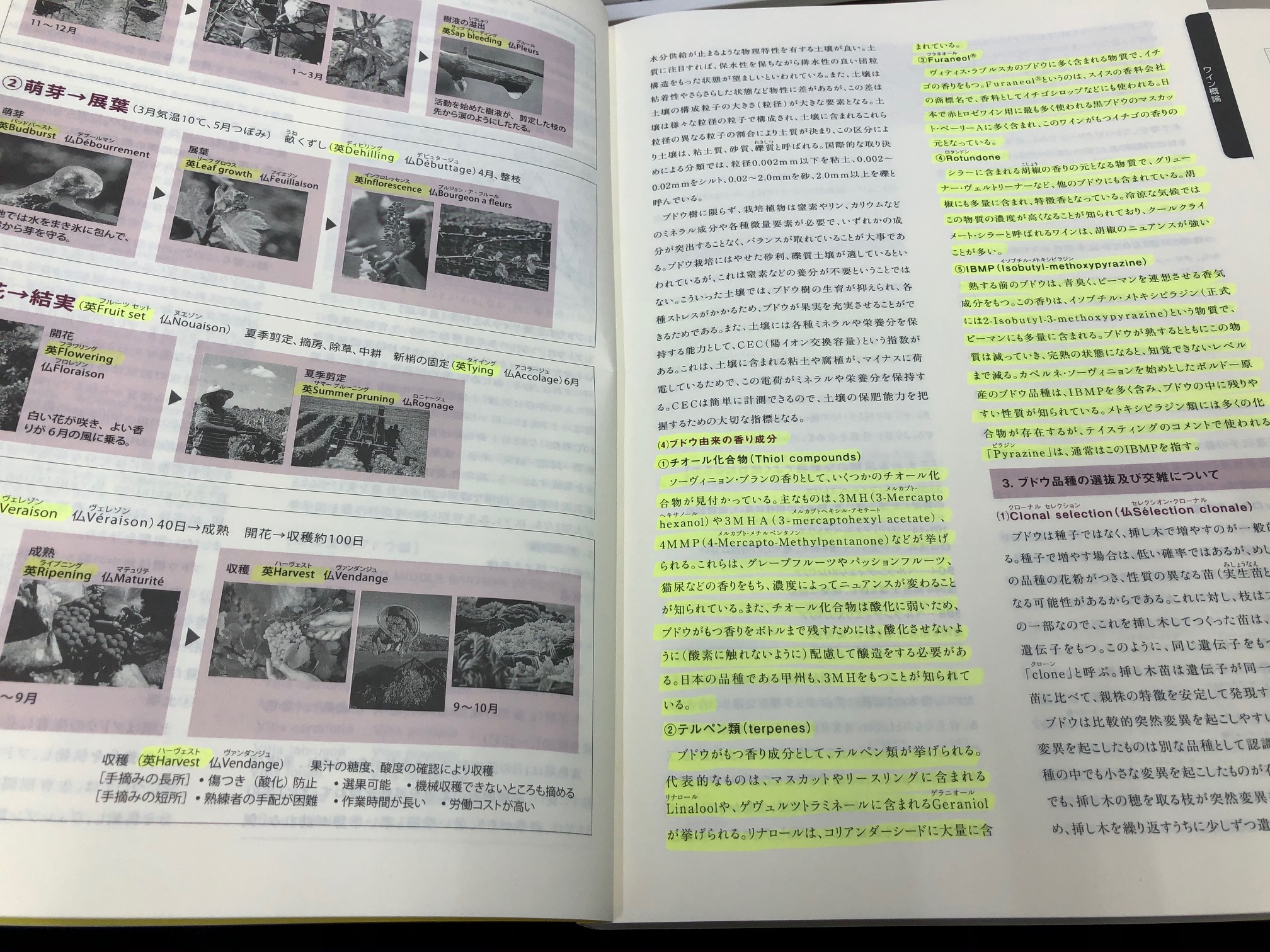 2021年 ソムリエ協会教本 | ソムリエ・エクセレンス、ワイン