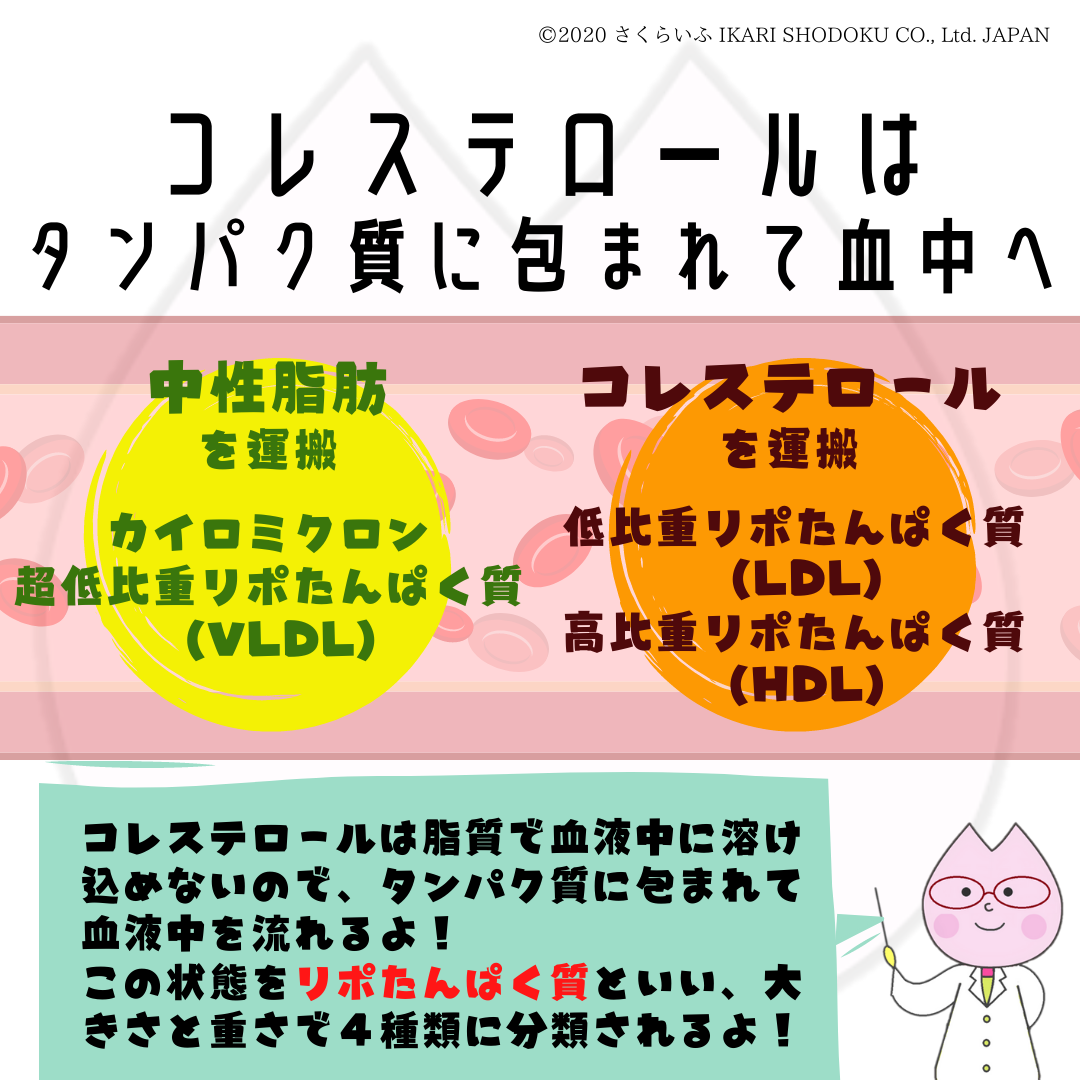 コレステロールって なんだろう さくらいふ Presented By イカリ消毒 コレステロールって なんだろう さくらいふ Presented By イカリ消毒