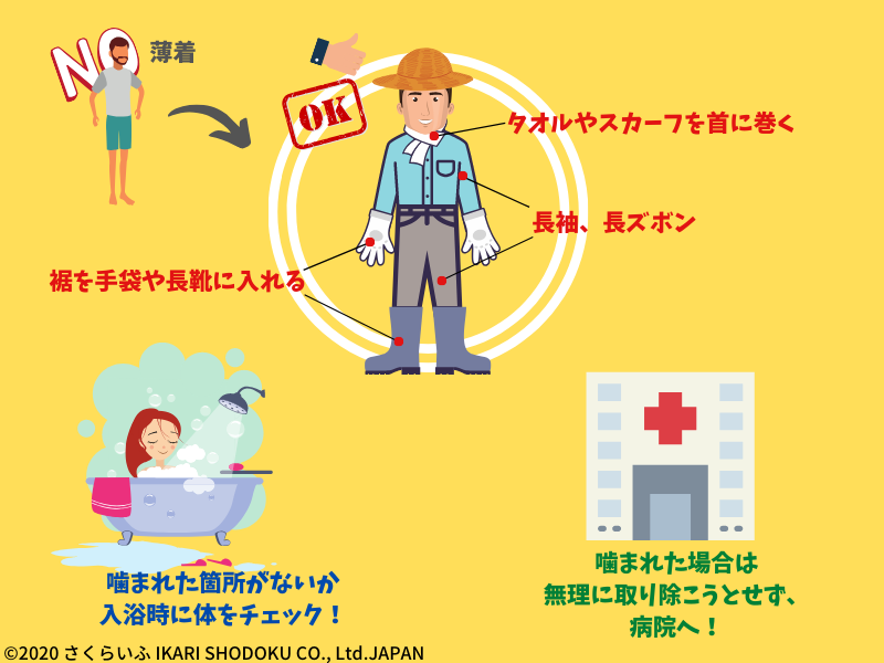 身の周りにいる虫 ダニ さくらいふ Presented By イカリ消毒