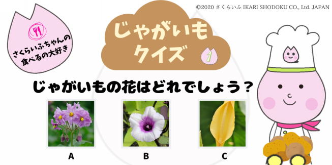 ジャガイモ さくらいふ Presented By イカリ消毒 ジャガイモ さくらいふ Presented By イカリ消毒