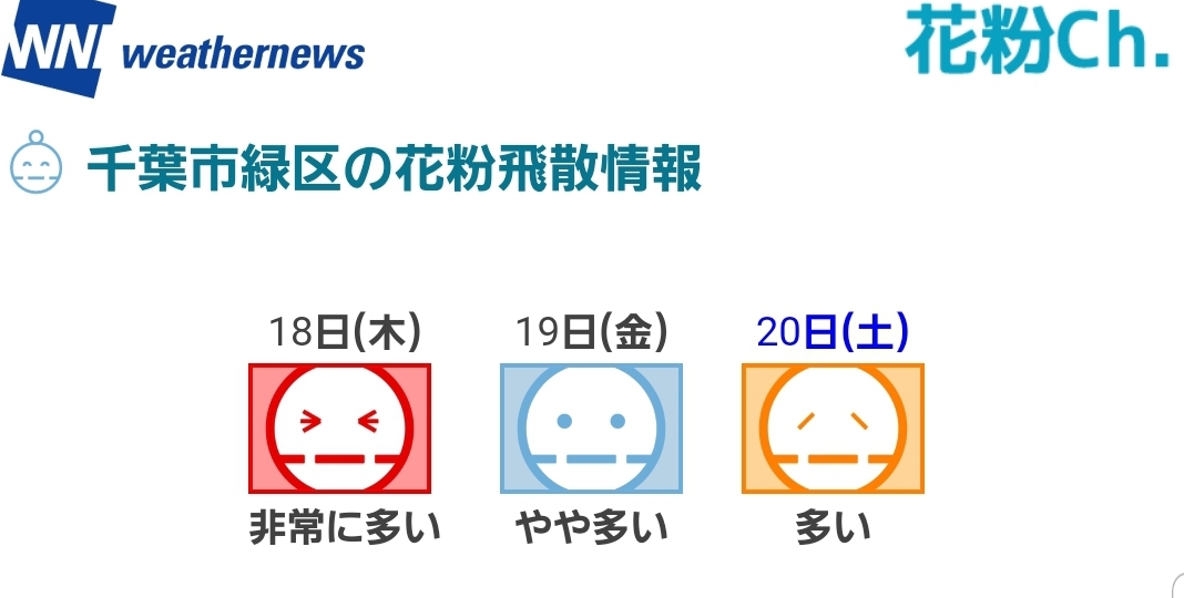 スギ花粉症 季節性アレルギー性鼻炎 医療法人社団誠心会 あすみが丘耳鼻咽喉科 気管食道科