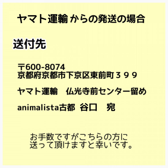 ご支援のお願い Animalista古都