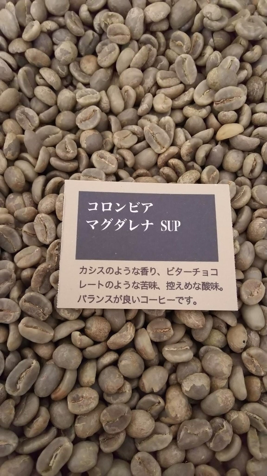 [新発売]コロンビア マグダレナ SUP cafe SAKUYA