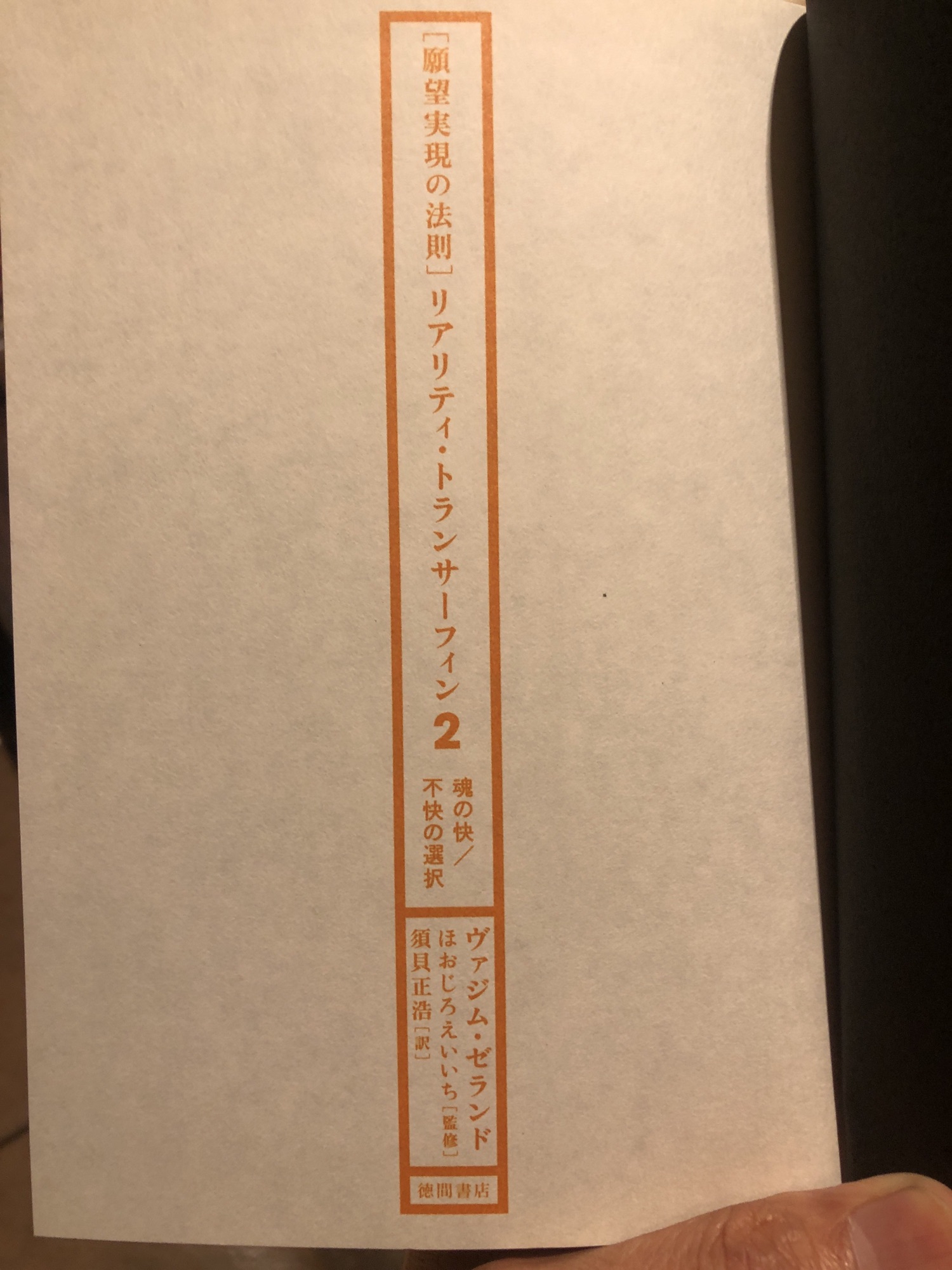 願望実現の法則 : リアリティ・トランサーフィン2 : 魂の快/不快の選択-