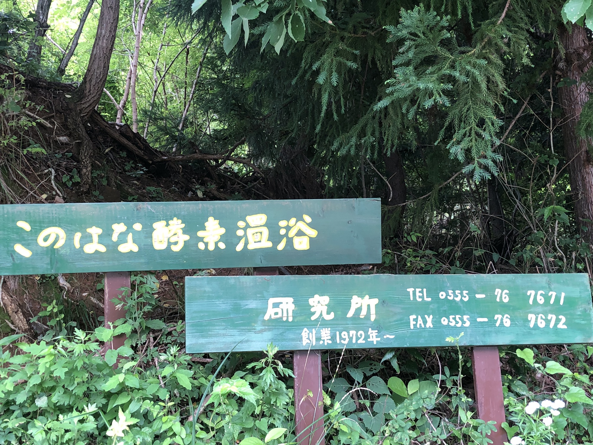 酵素温浴の体験 山梨県 このはな酵素温浴研究所 07 からだ こころ たましいの学び屋