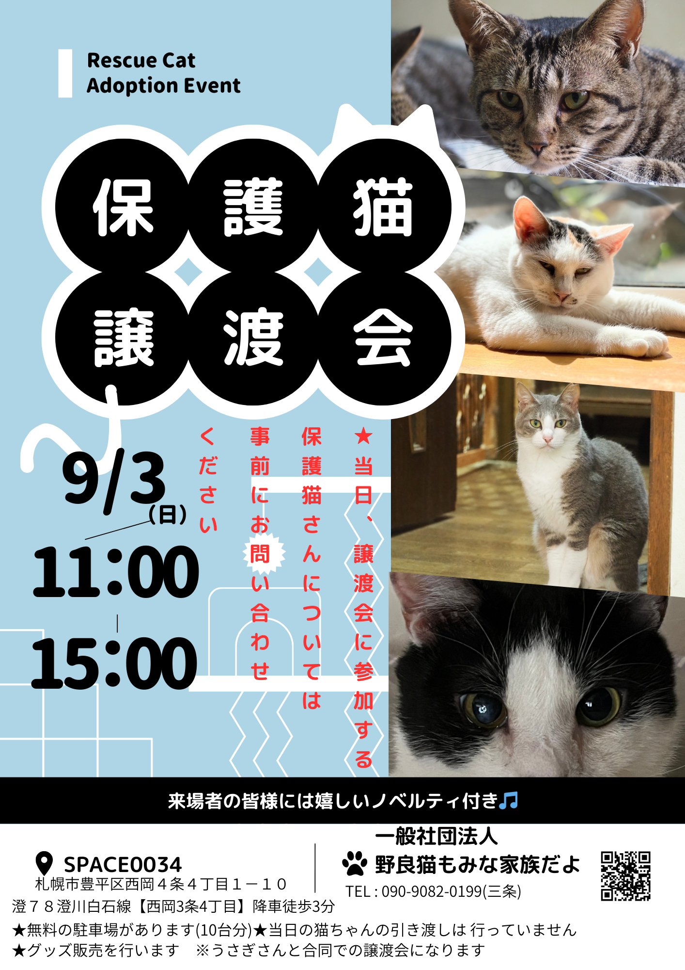 ☆9/3(日)保護猫＆保護うさぎ譲渡会を開催します🐱🐰☆ | 野良猫もみな