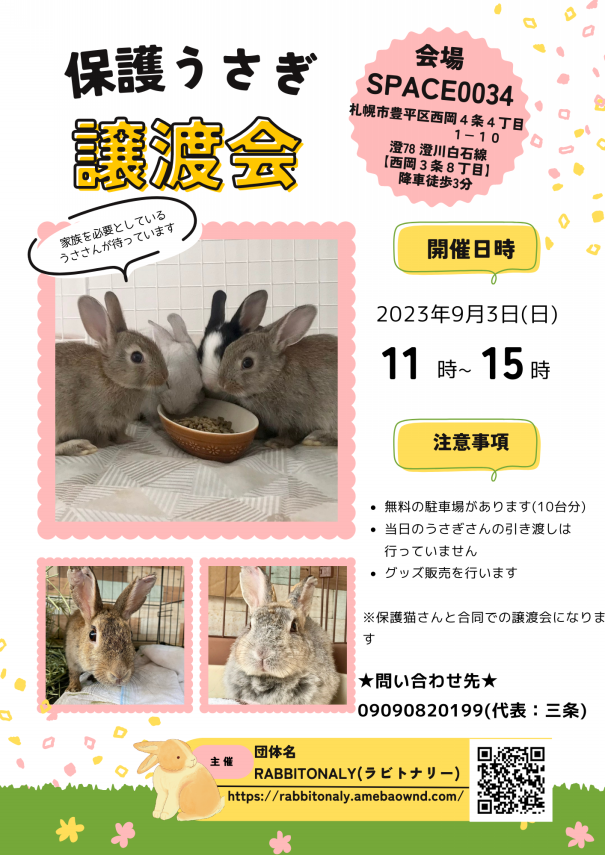 ☆9/3(日)保護猫＆保護うさぎ譲渡会を開催します🐱🐰☆ | 野良猫