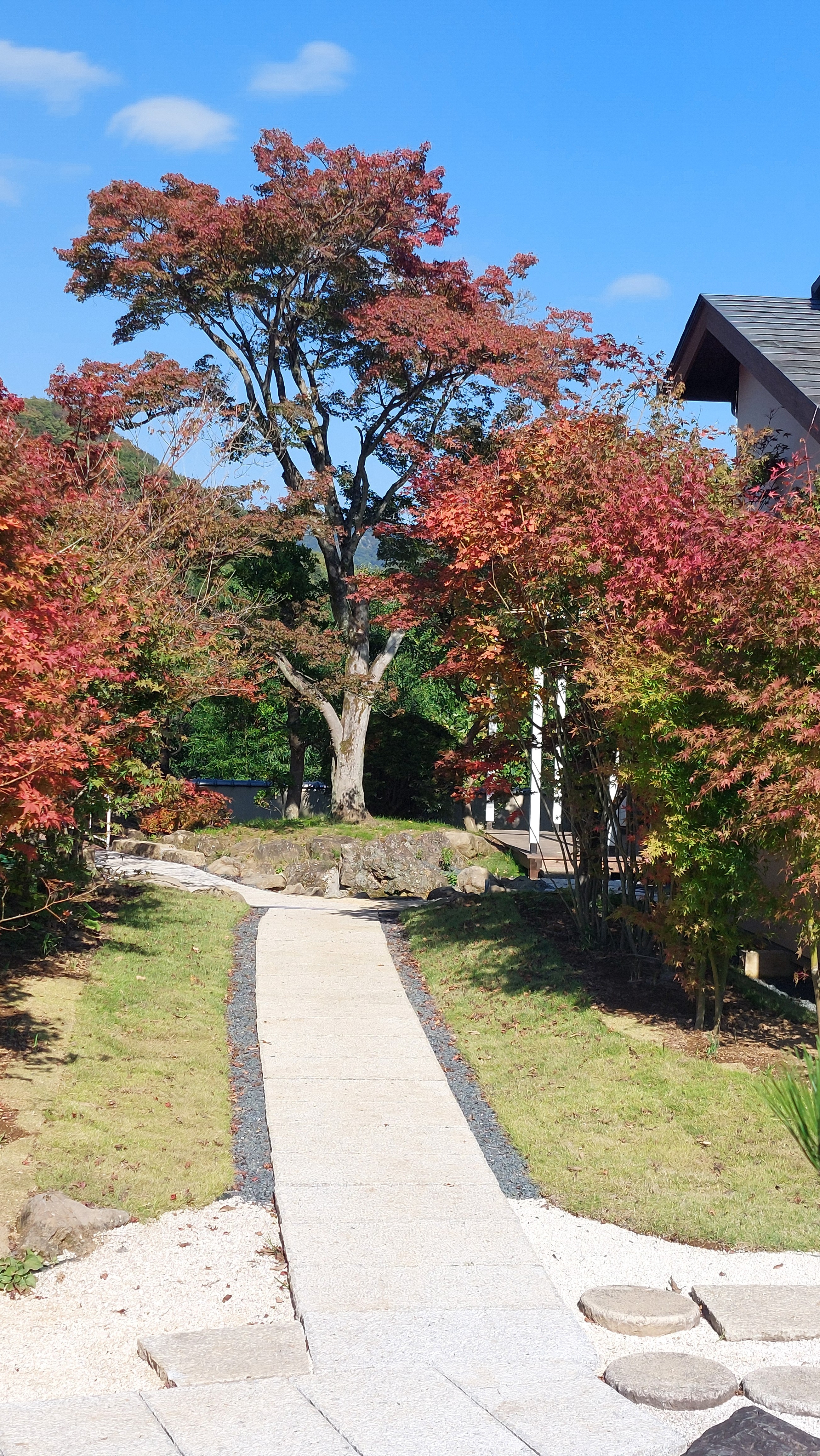 庭園風景 | ㈶人間国宝 田村耕一 美術館 庭園風景 | ㈶人間国宝 田村耕一 美術館