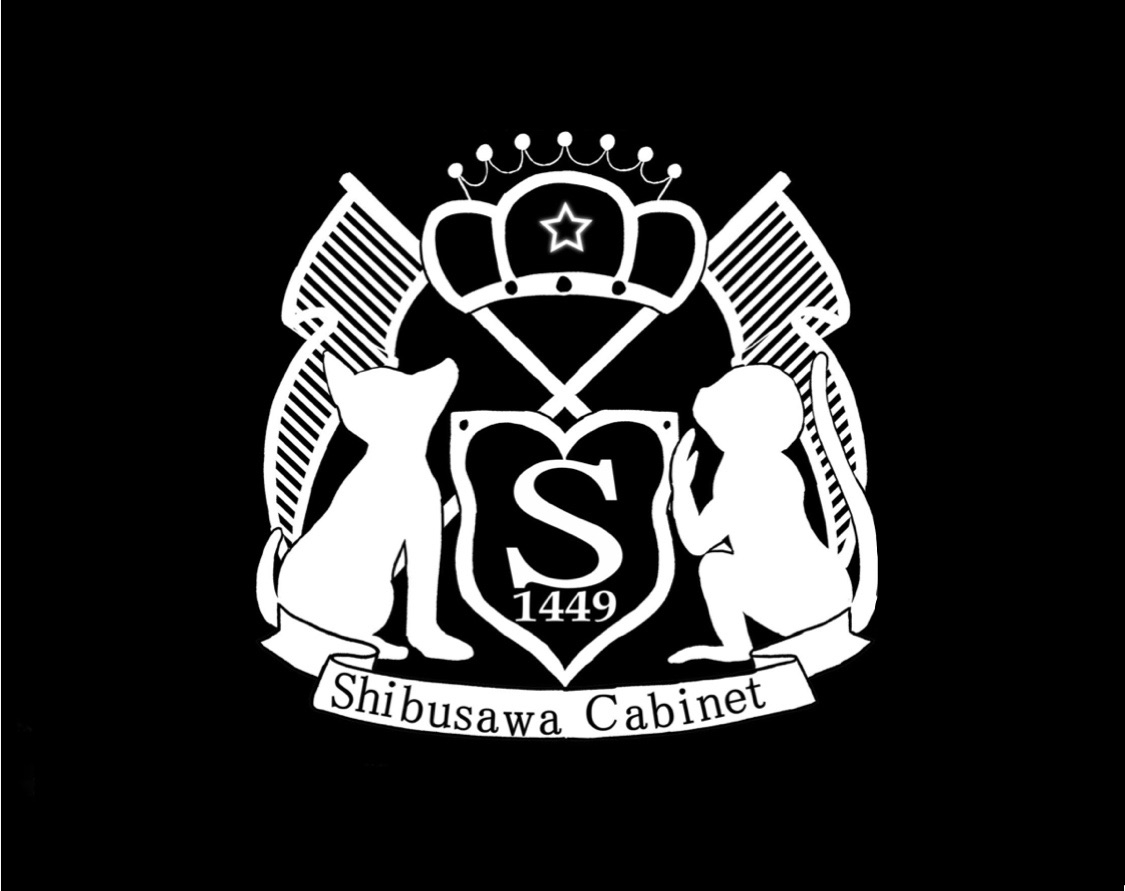 PROFILE 渋沢内閣