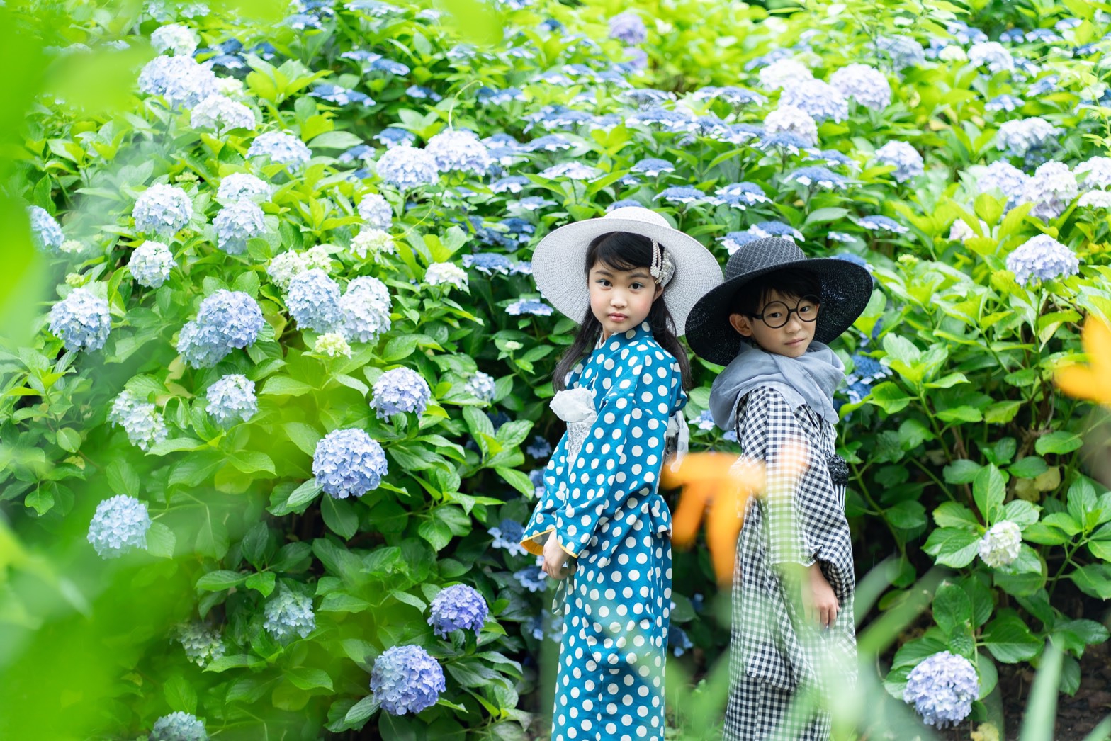 絞り 浴衣 夏着物 紫陽花 彼岸花 手縫い-