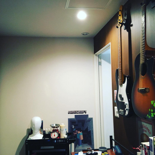 趣味部屋 面倒くさがりの趣味部屋いじり 趣味部屋 面倒くさがりの趣味部屋いじり