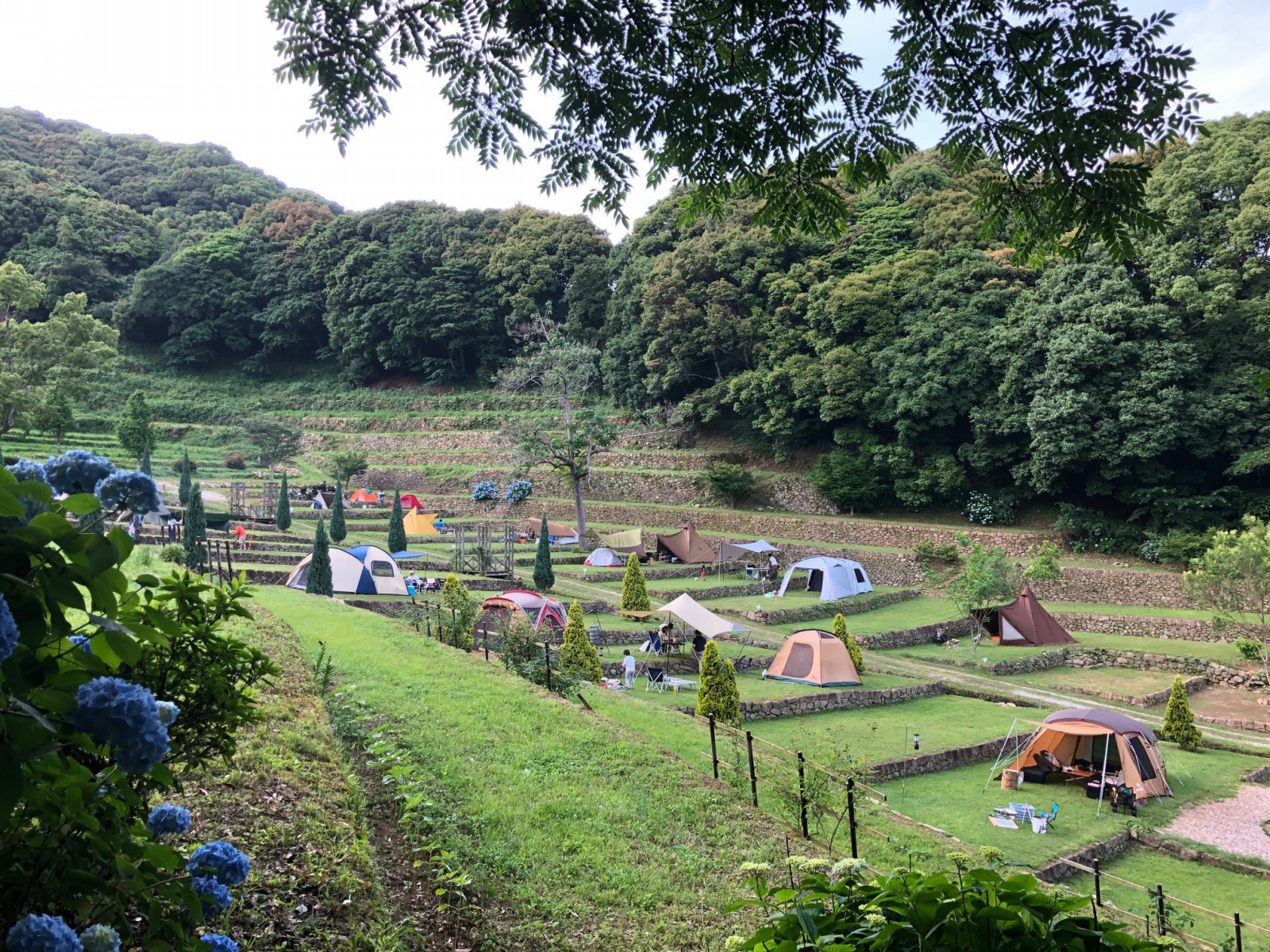 キャンプ場風景