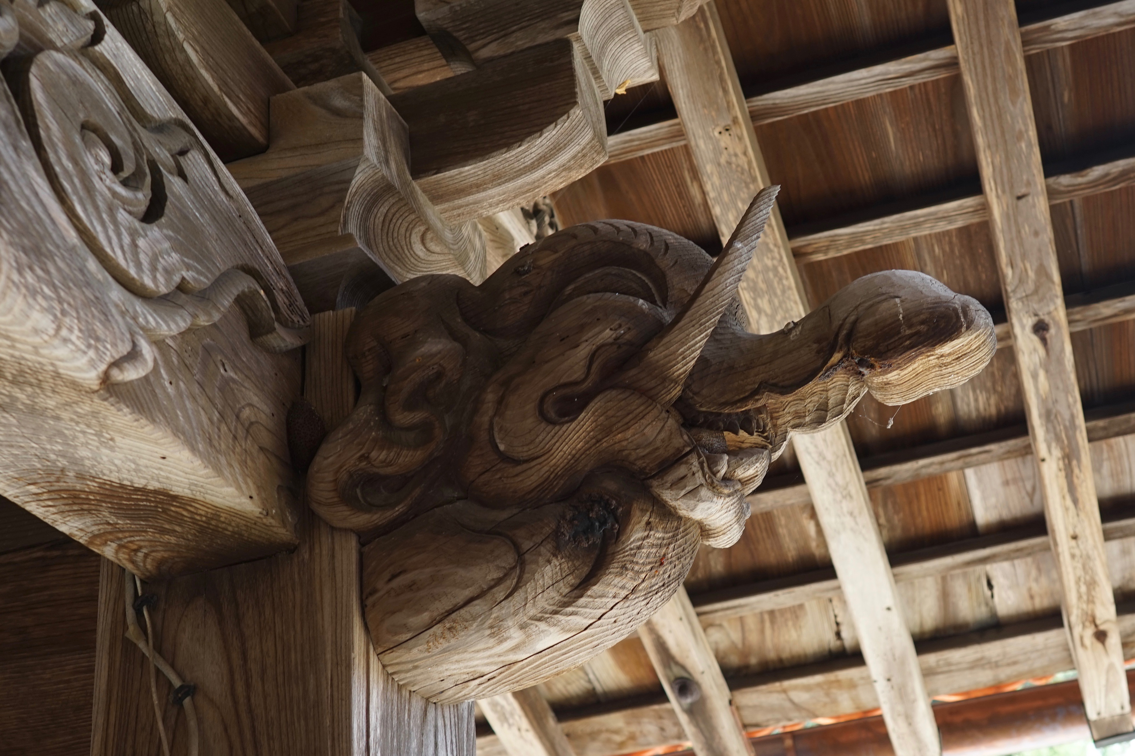 島根のダヴィンチ」荒川亀斎 小伝 | 宗淵寺/願興寺