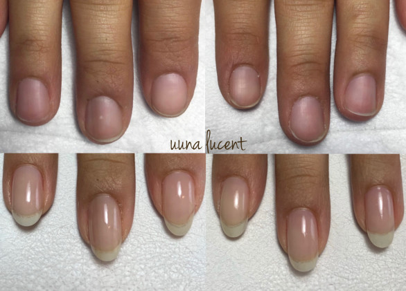 𝐔𝐔𝐍𝐀 𝐋𝐔𝐂𝐄𝐍𝐓