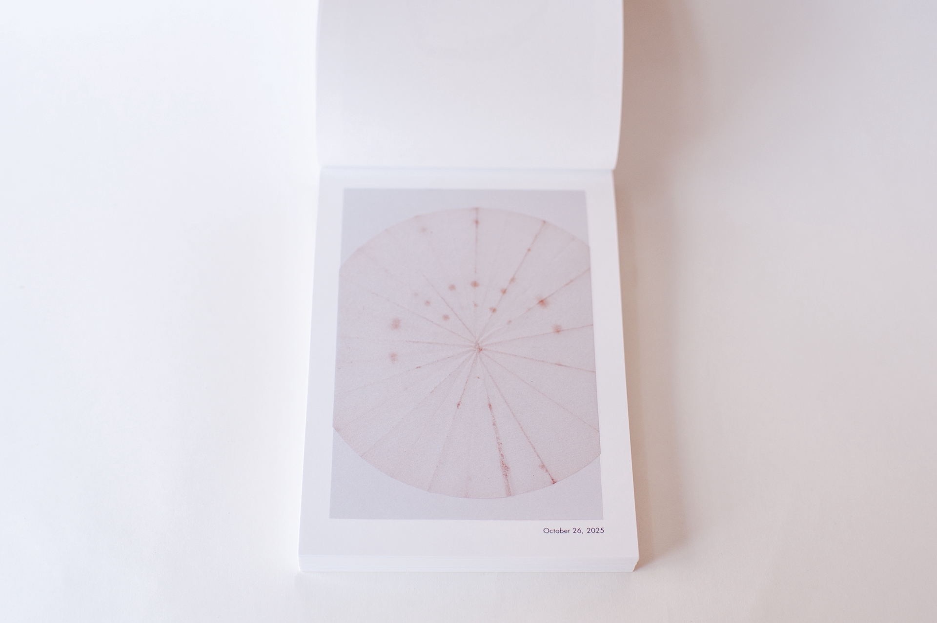 湯浅景子　「ハイヒール」 湯浅 景子｜www.keikoyuasa.com