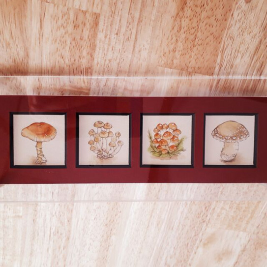 きのこイラスト販売中 アトリエ紫桜 Studio