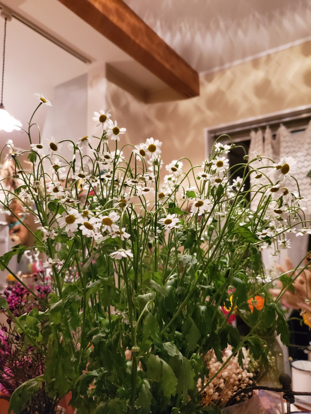 ドライフラワーと押し花と 旅する花屋 つむぎ家 ドライフラワーと押し花と 旅する花屋 つむぎ家