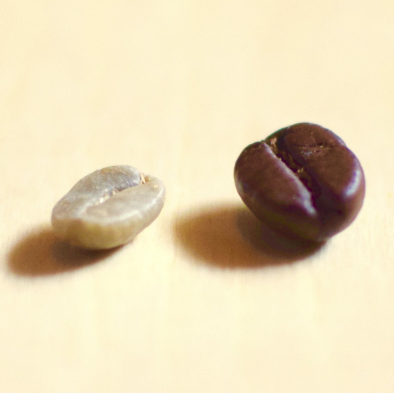 ダローロのこだわり 自家焙煎珈琲 Daloro