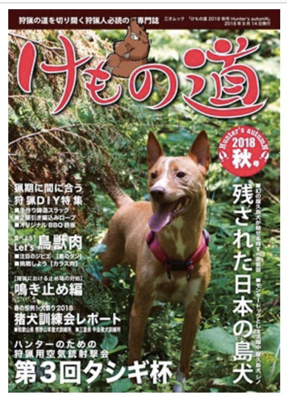 三重県 中島猪犬訓練所 髙竜犬舎