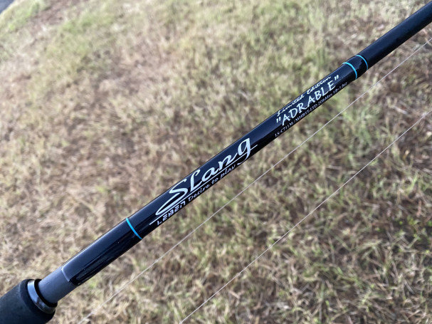 □ DESIGNO LEBEN SLANG ADRABLE LS-C711M/MHRST-LTDをインプレ ｜バス 