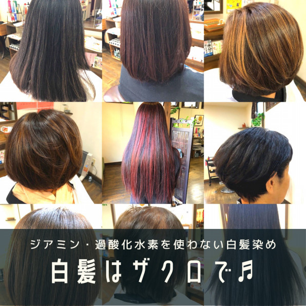 輝髪ザクロペインター | natural beauty ADA 