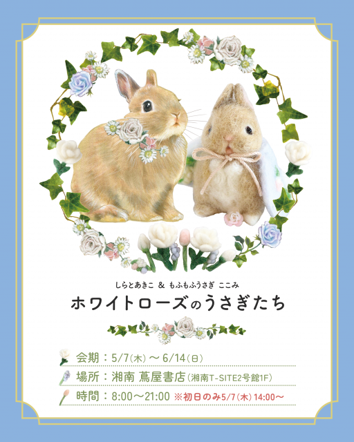 mofu mofu usagi*