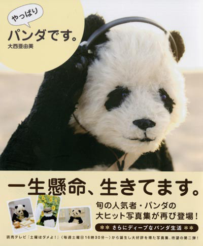 写真集第二弾 やっぱりパンダです 発売 Panda Panda Life