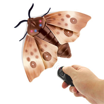 走るエリマキトカゲのrc ラジコンマガジンweb