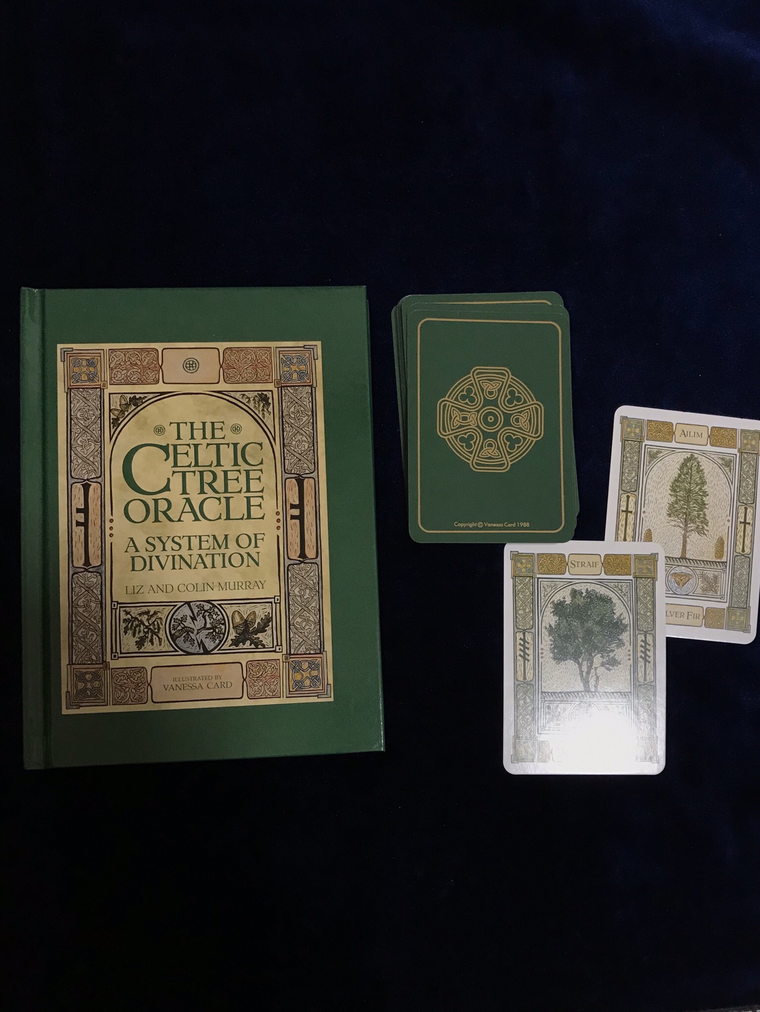 Celtic Tree Oracle: Hidalgo, Sharlyn, Manton, Jimmy