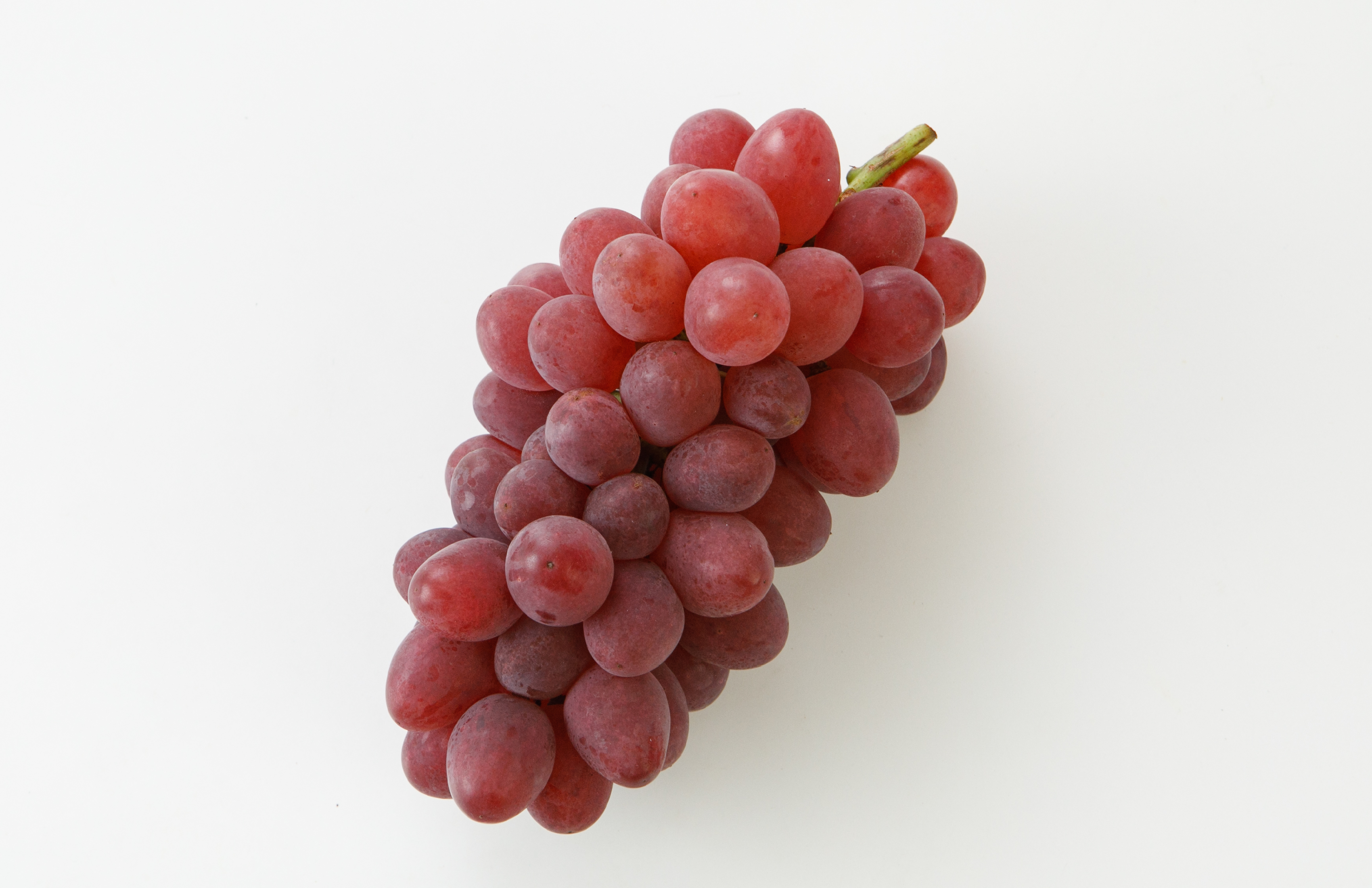 栽培品種 | 石田農園