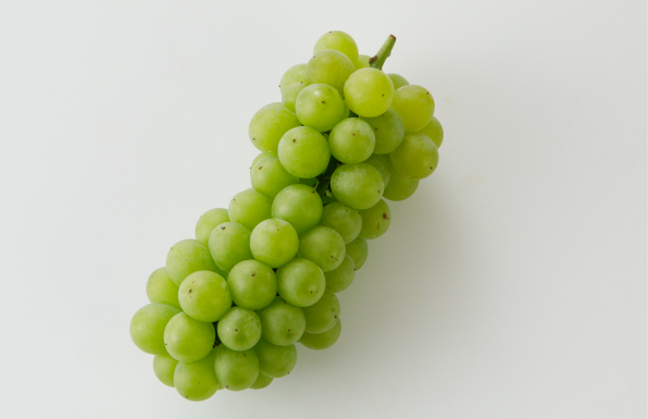 栽培品種 | 石田農園