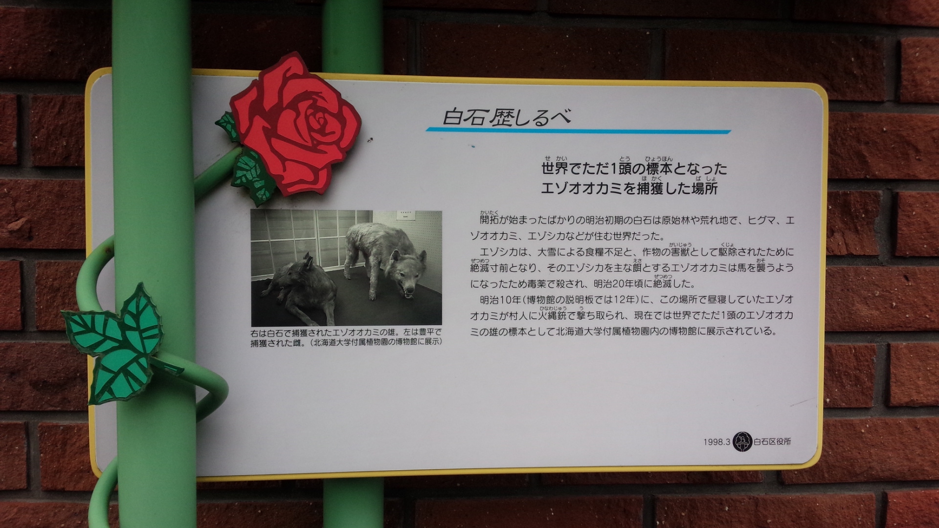 狼の碑　エゾオオカミ絶滅記　初版 本庄敬・戸川幸夫/狼の碑 | Sinn本館