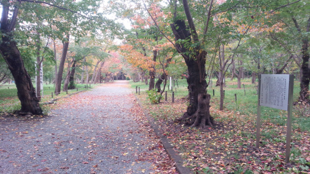 北海道神宮の桜の由来 歴史のあしあと 札幌の碑 西部版