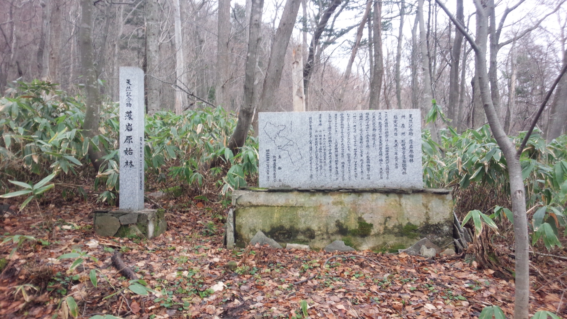 天然記念物 藻岩原始林」碑と副碑。 | 「歴史のあしあと 札幌の碑