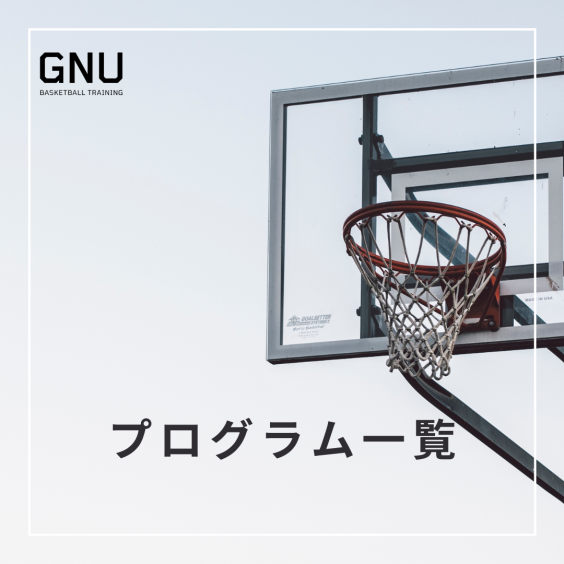 エアドリブル 室内練習 ドリブルネット バスケットボール