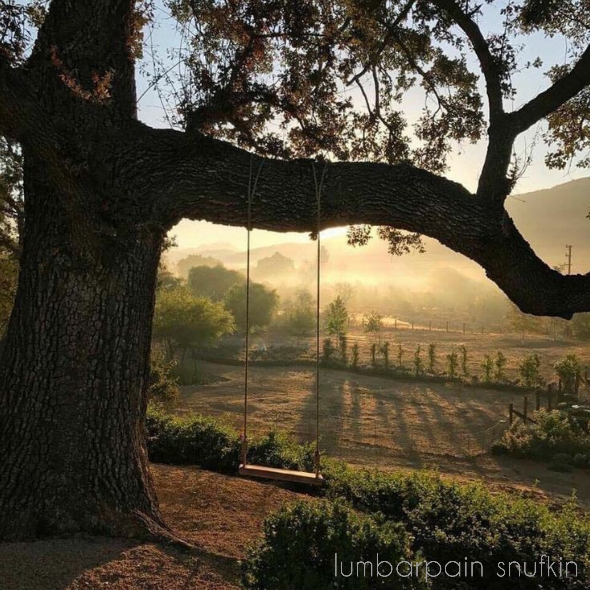 寺山修司の短歌 10 日あたりて I'd love to see you again