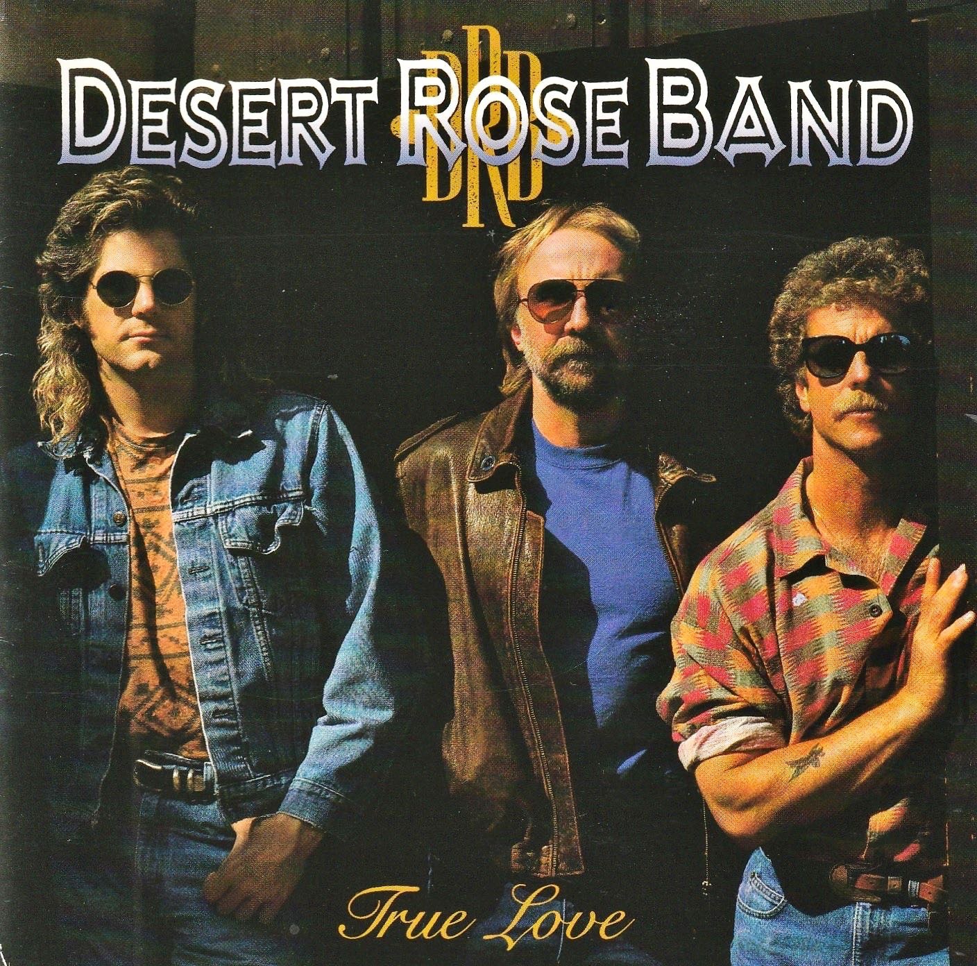 クリス ヒルマン先生の名盤アルバムから この曲聴いて Oimachi Act おい街アクト