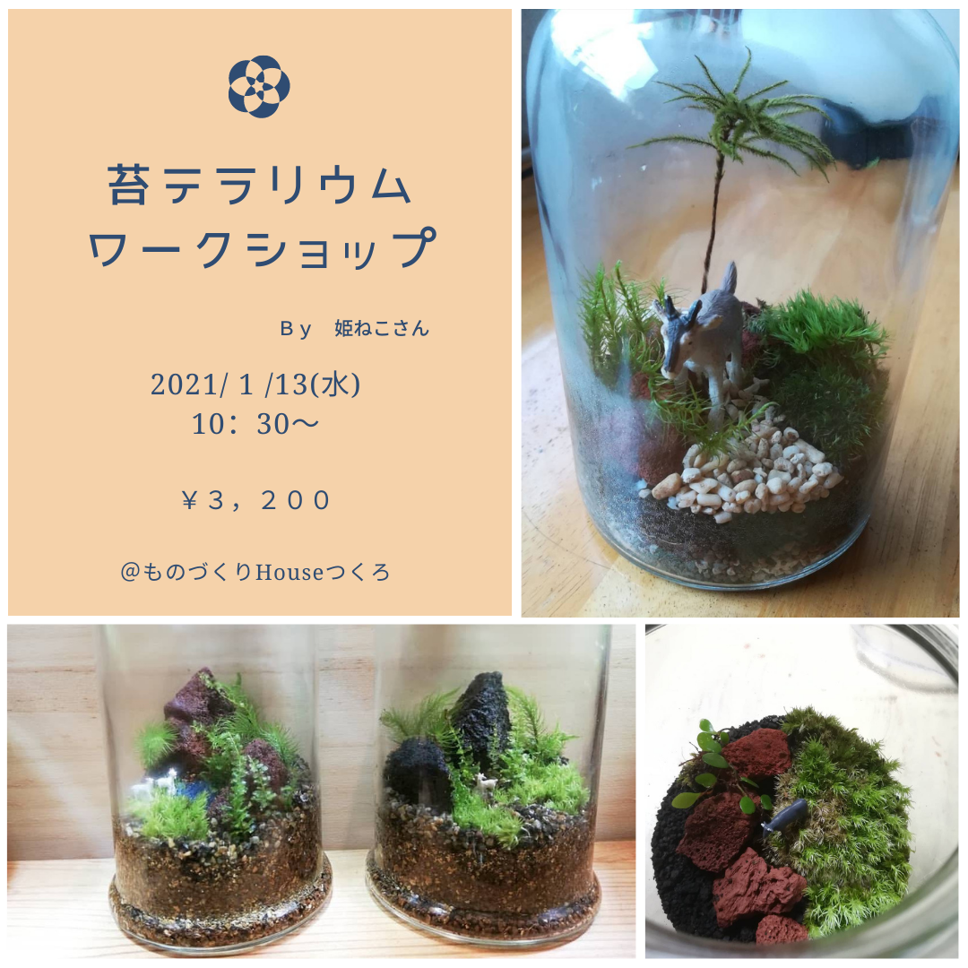 1 13 苔テラリウムws ものづくりhouseつくろ